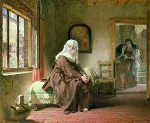 The Novice